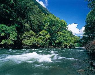 VR休闲运动游戏《Home Sports》12月11日发售