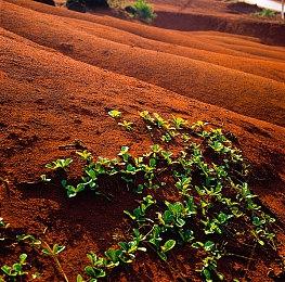 《尼克明星大乱斗》新增两位角色 确认将登陆PC 