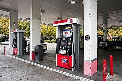 欢迎来到冷硬的动物世界！《黑猫侦探：深入本质》中文版现已推出